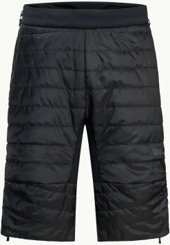 Jack Wolfskin Alpspitze Ins Capri M|Heren Discovery|Ski