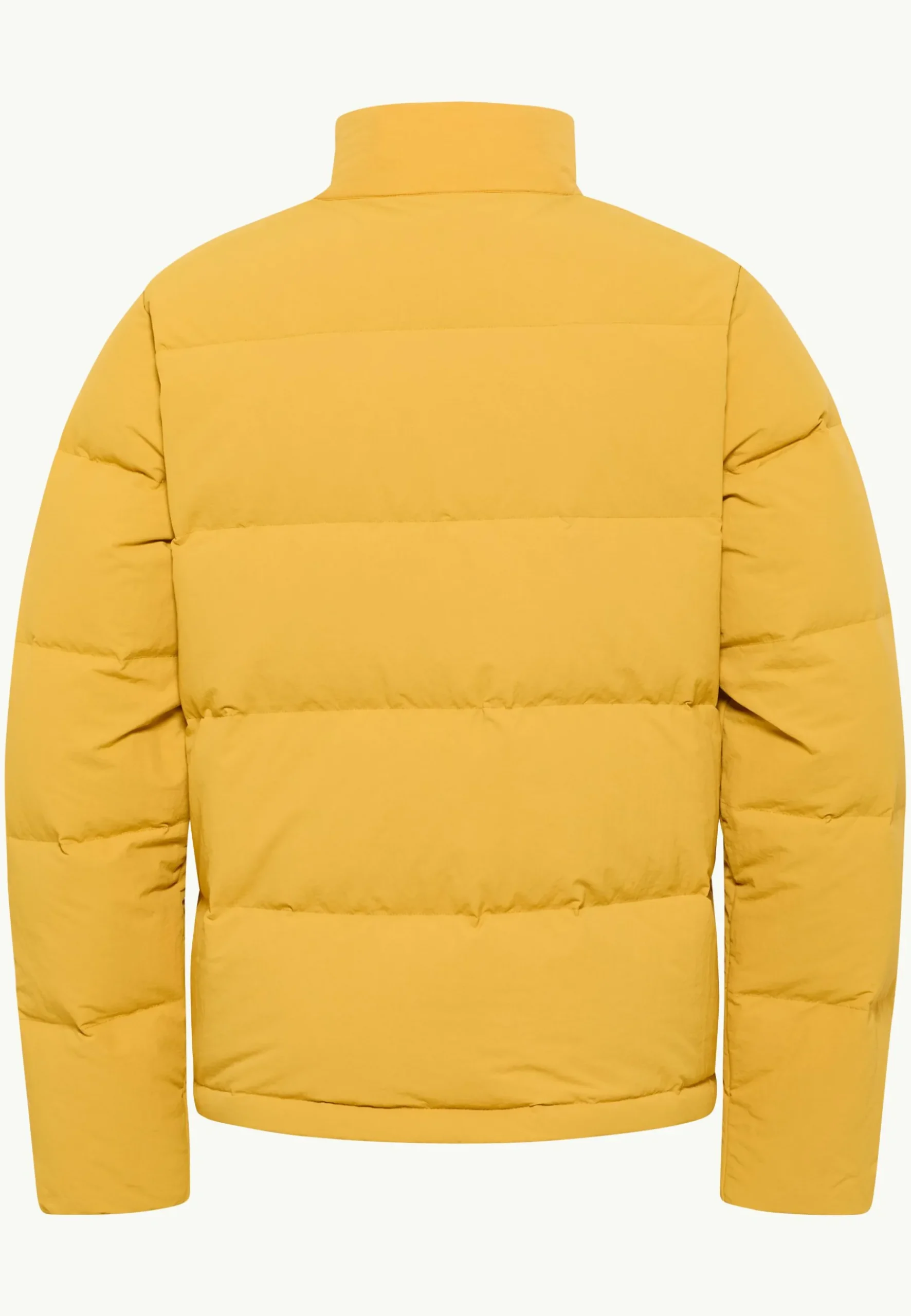 Jack Wolfskin Nordlicht Jkt M Rds|Heren Voor- En Najaarsjacks/-Jassen|Winterjacks