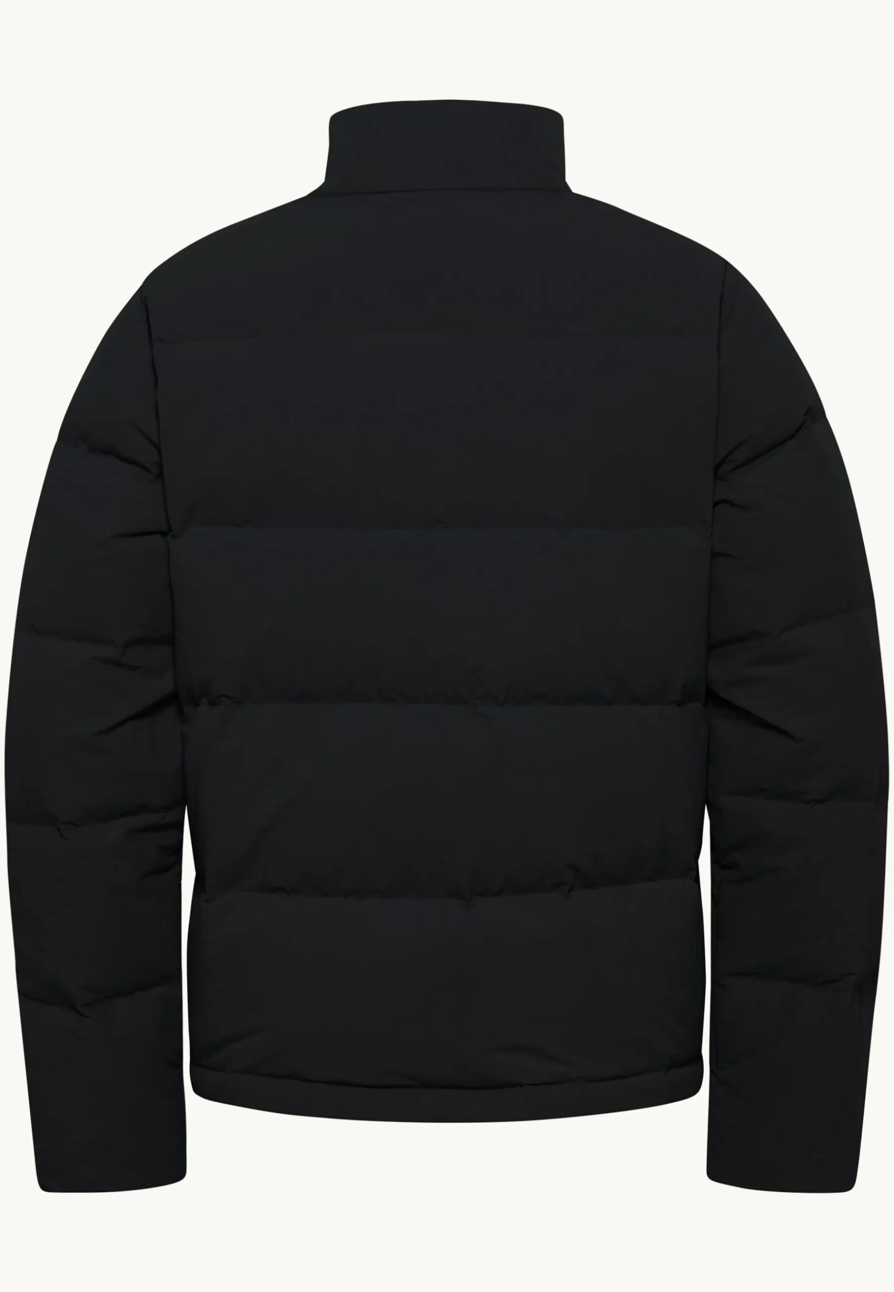 Jack Wolfskin Nordlicht Jkt M Rds|Heren Voor- En Najaarsjacks/-Jassen|Winterjacks