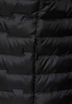 Jack Wolfskin Passamani Down Hoody M Rds|Heren Bodywarmers|Winterjacks