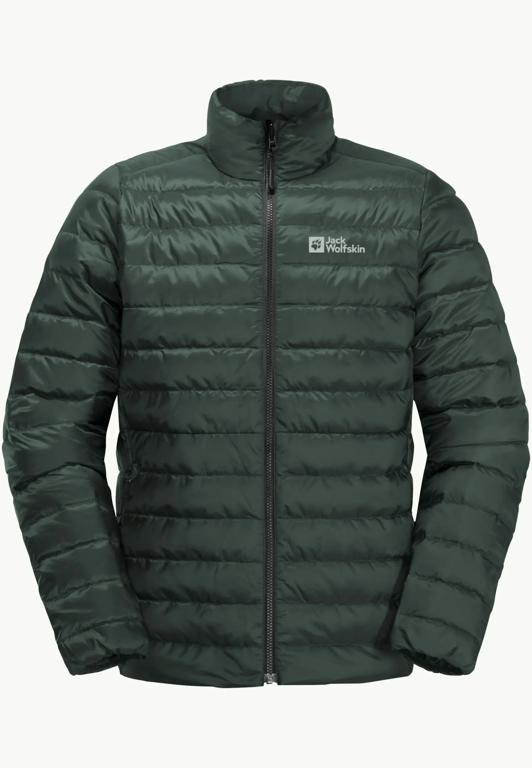 Jack Wolfskin Pilvi Down Jkt M Rds|Heren Wandelen|Voor- En Najaarsjacks/-Jassen