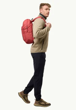 Jack Wolfskin Taubenberg| Laptop & Schoolrugzakken|Dagrugzakken