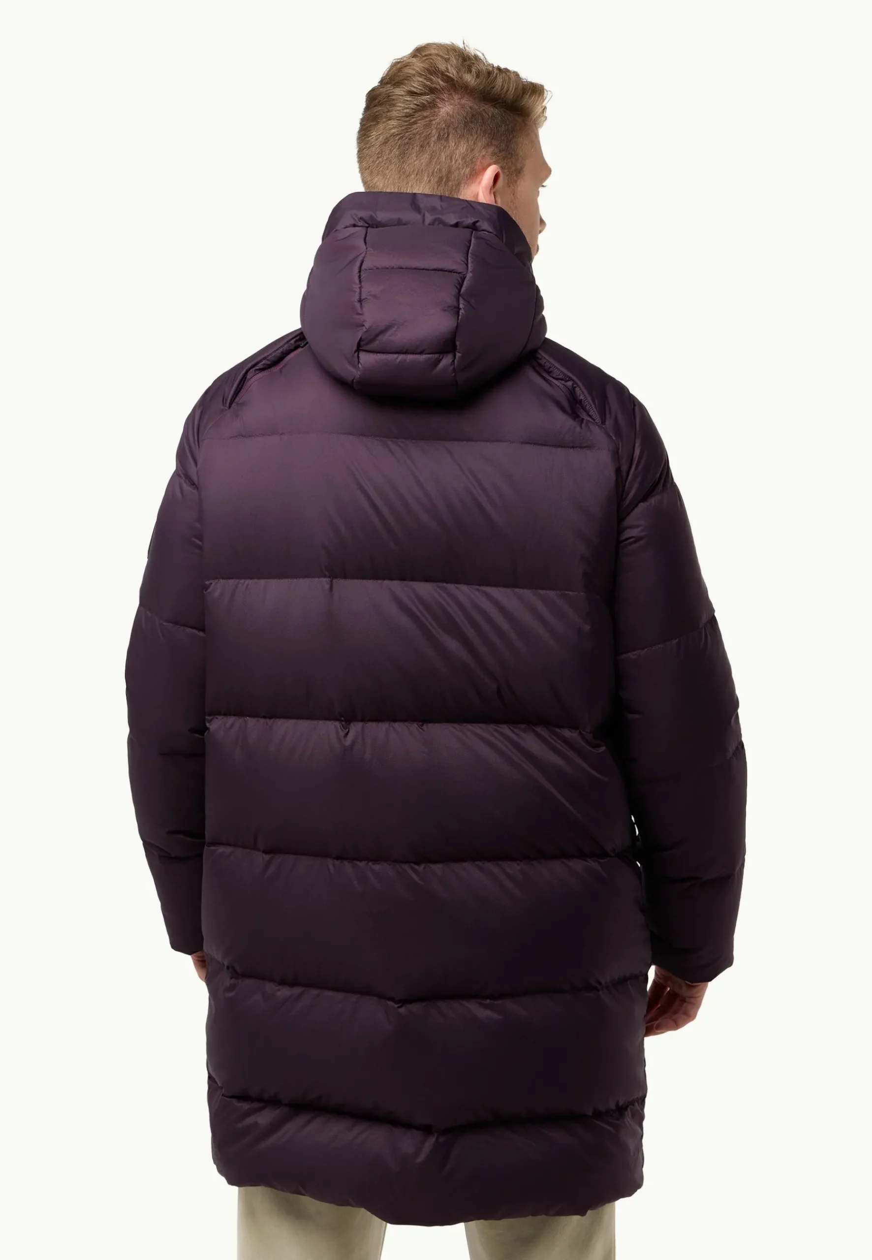 Jack Wolfskin Wandermood Down Parka M Rds|Heren Voor- En Najaarsjacks/-Jassen|Winterjacks